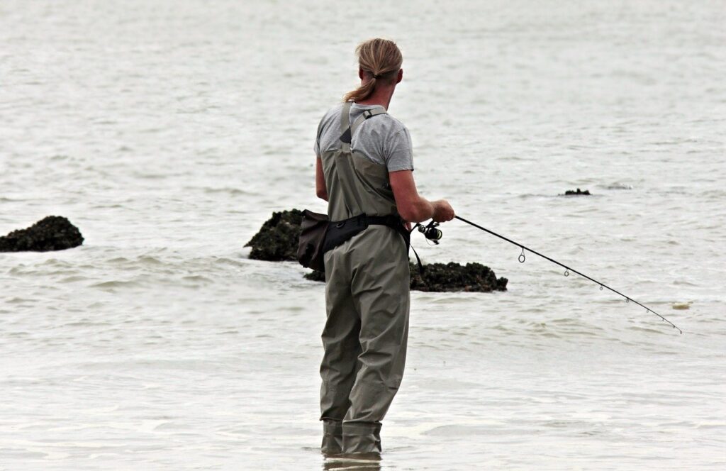 angler, fish, north sea