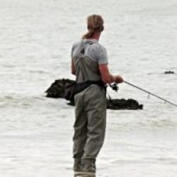 angler, fish, north sea